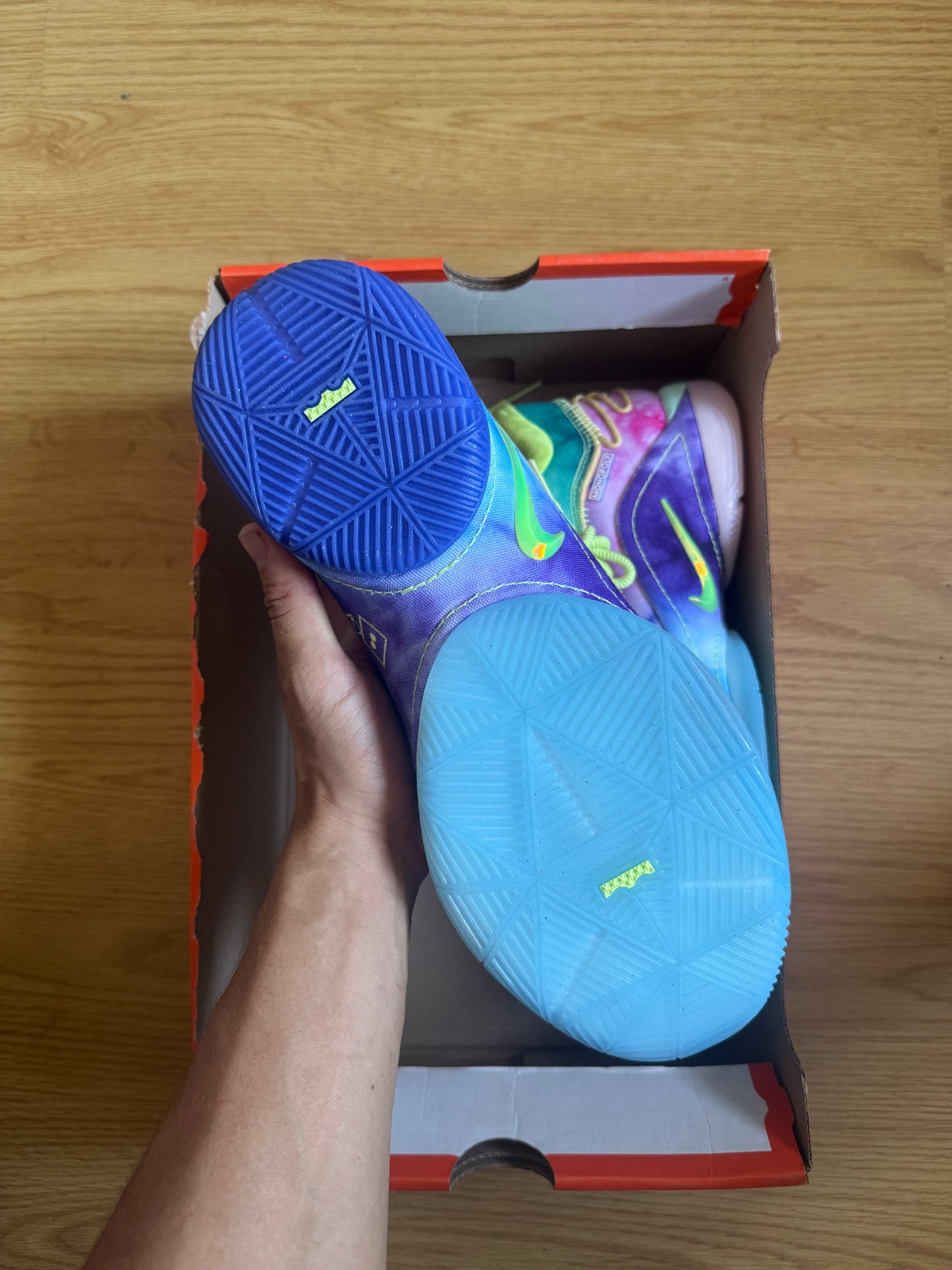 Nike LeBron WTM
