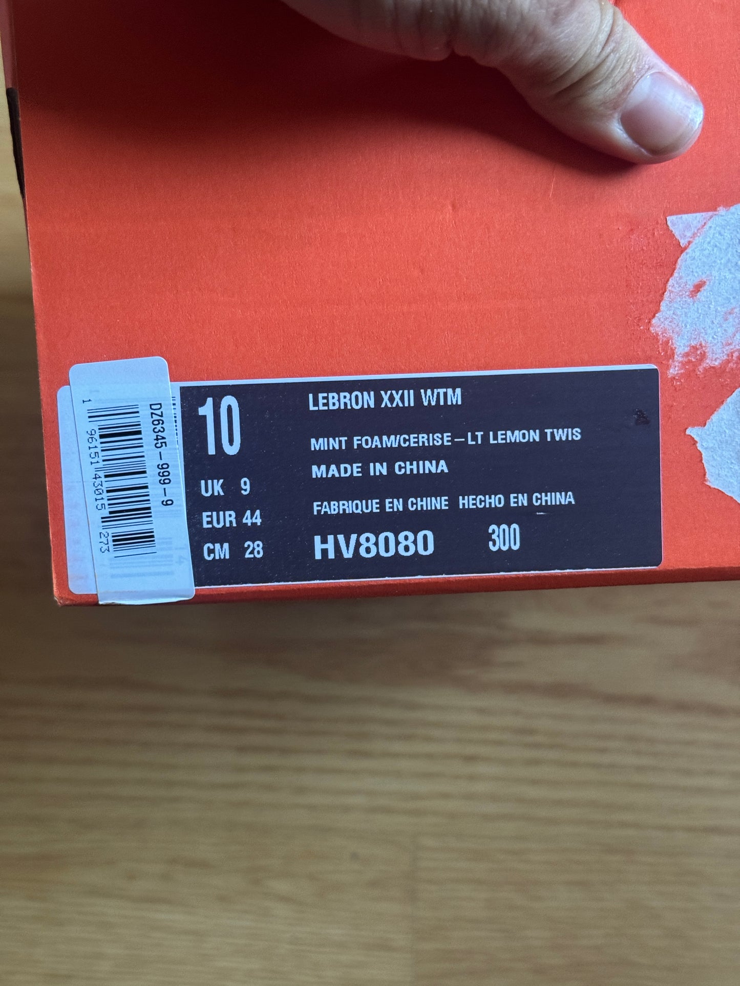Nike LeBron WTM