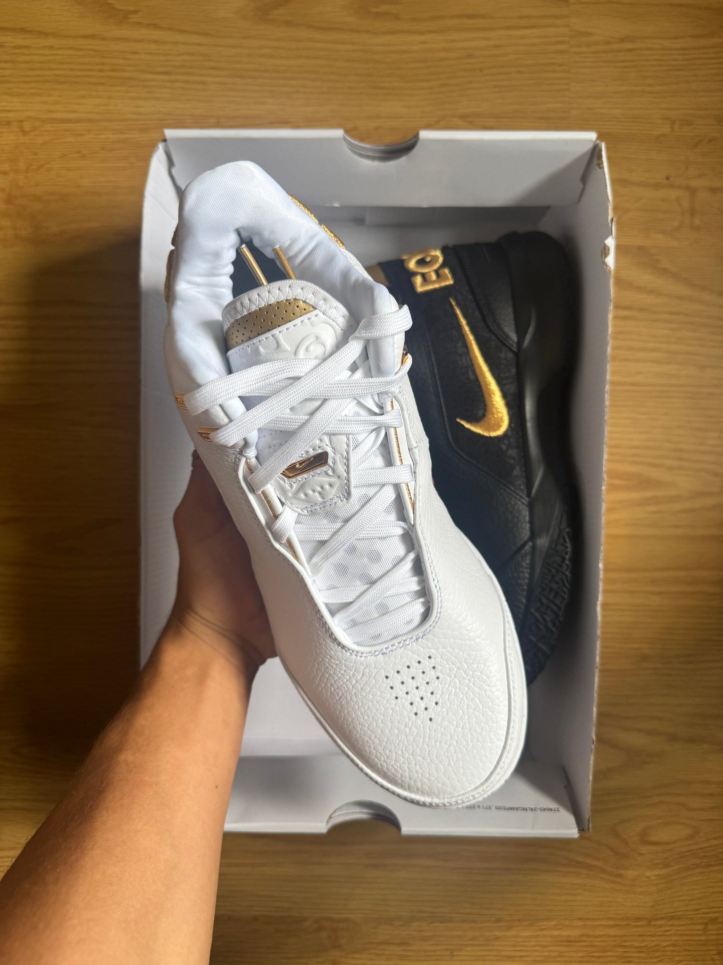 Nike Lebron NXXT Gen AMPD