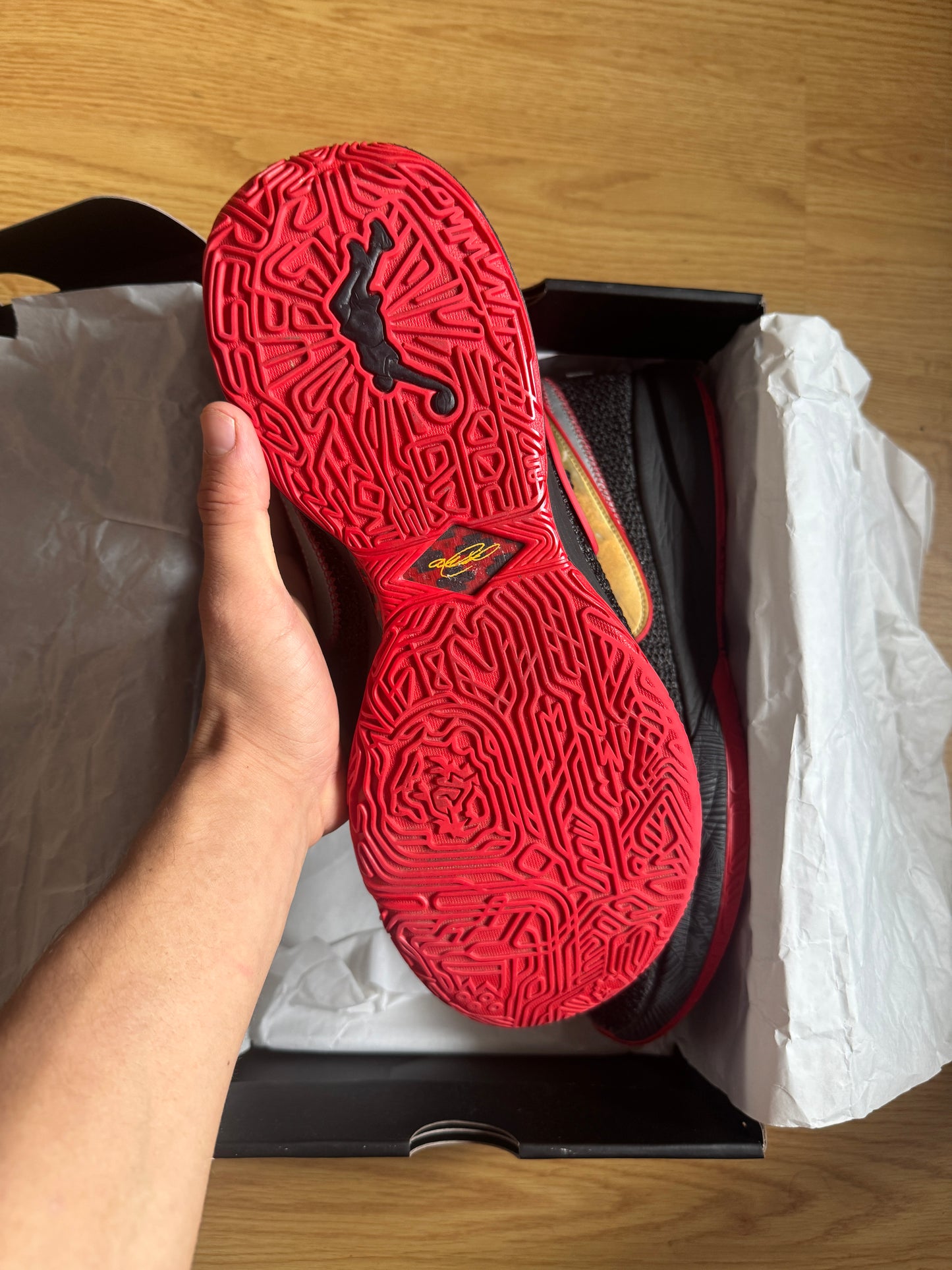 Nike Lebron 30