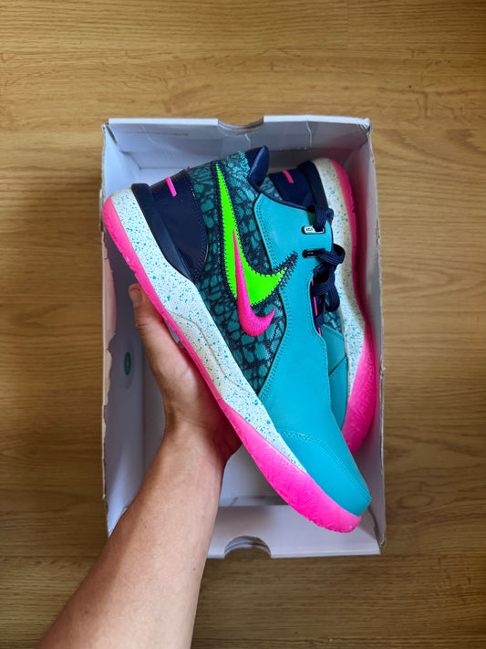 Nike Lebron NXXT GEN AMPD
