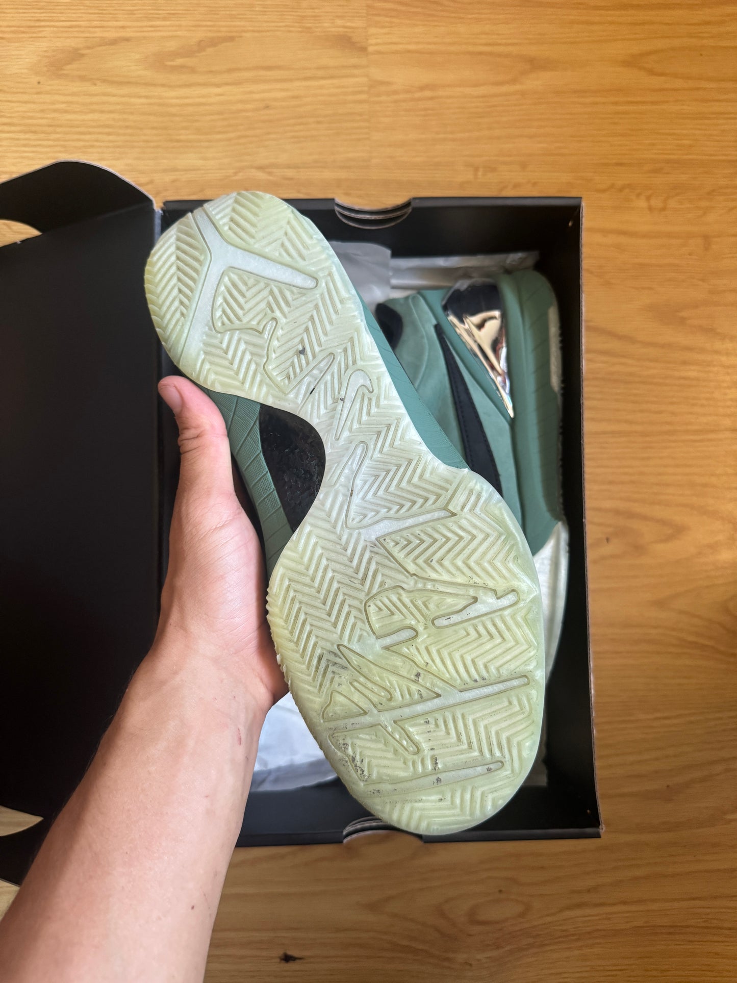 Nike Kobe 4 Protro Girl And Dad