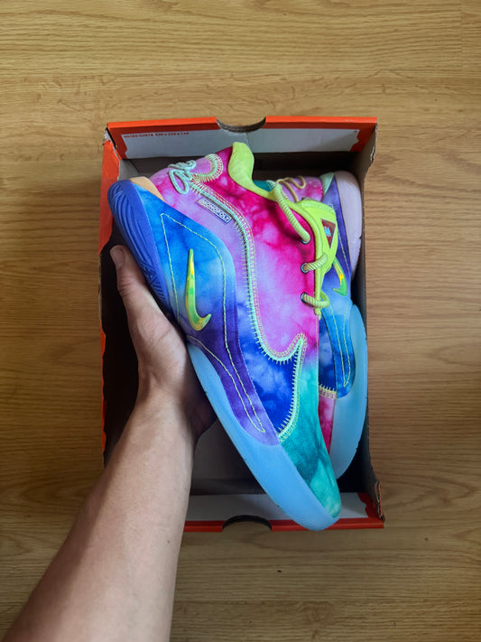 Nike Lebron 22 WTM