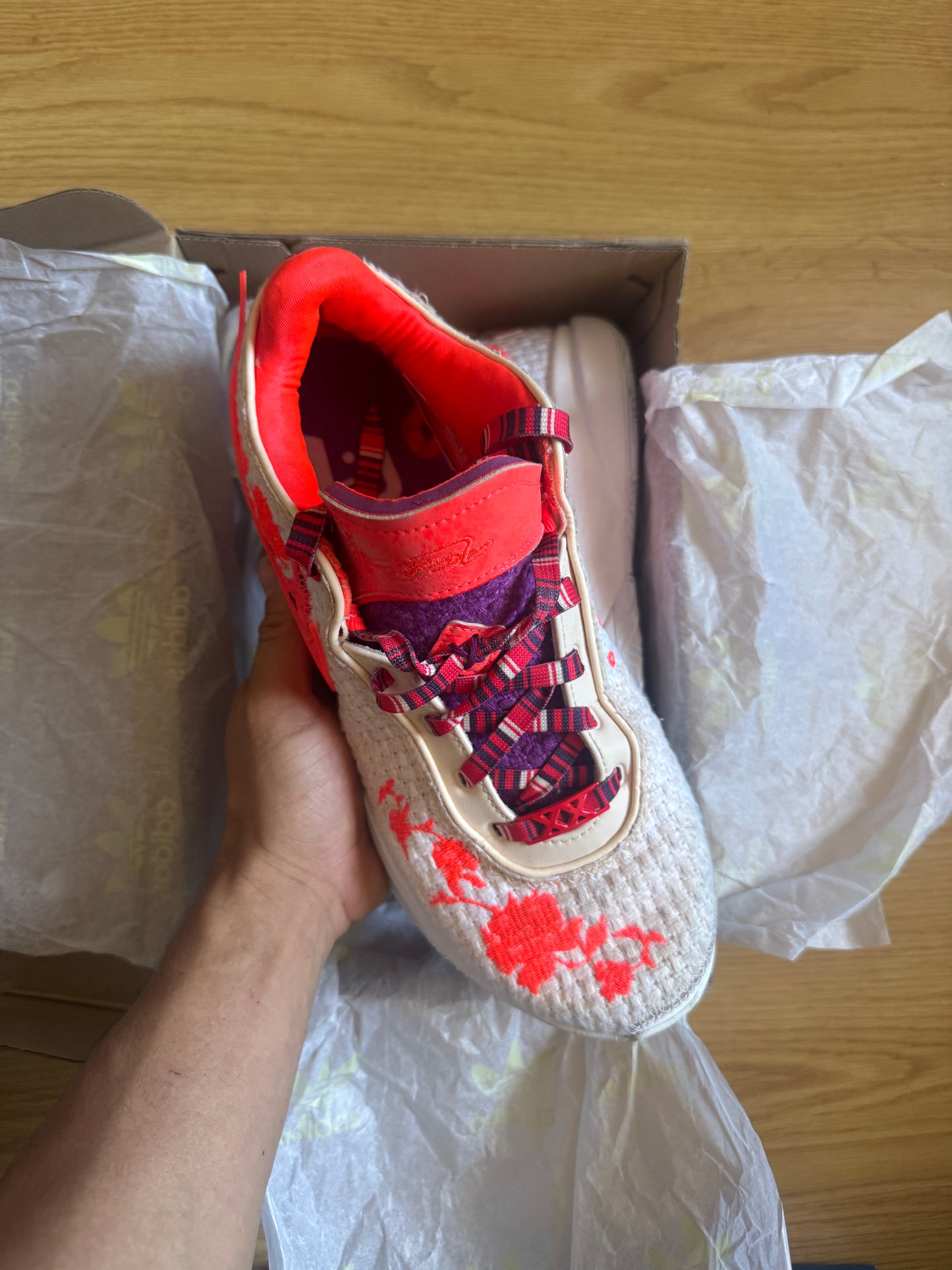 Nike Lebron 20
