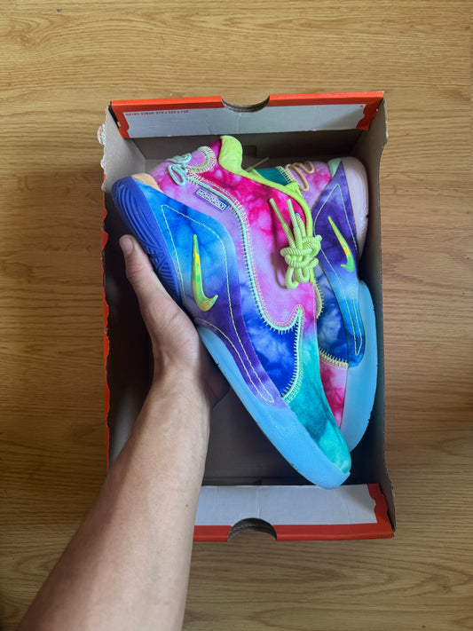 Nike LeBron WTM
