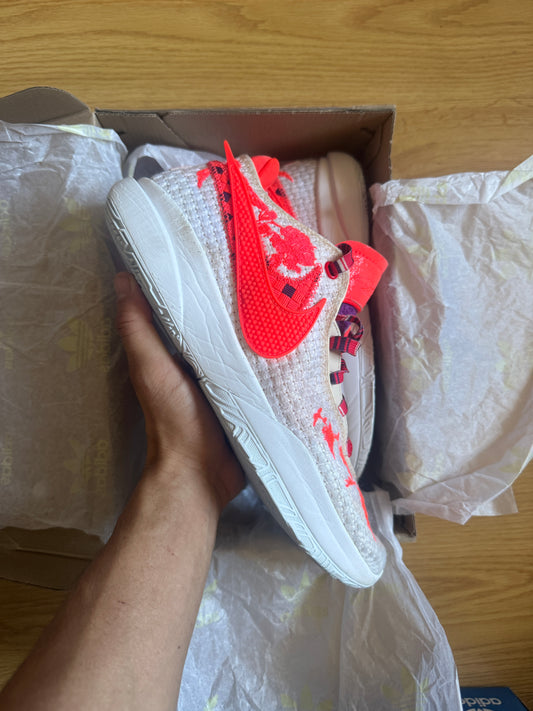 Nike Lebron 20