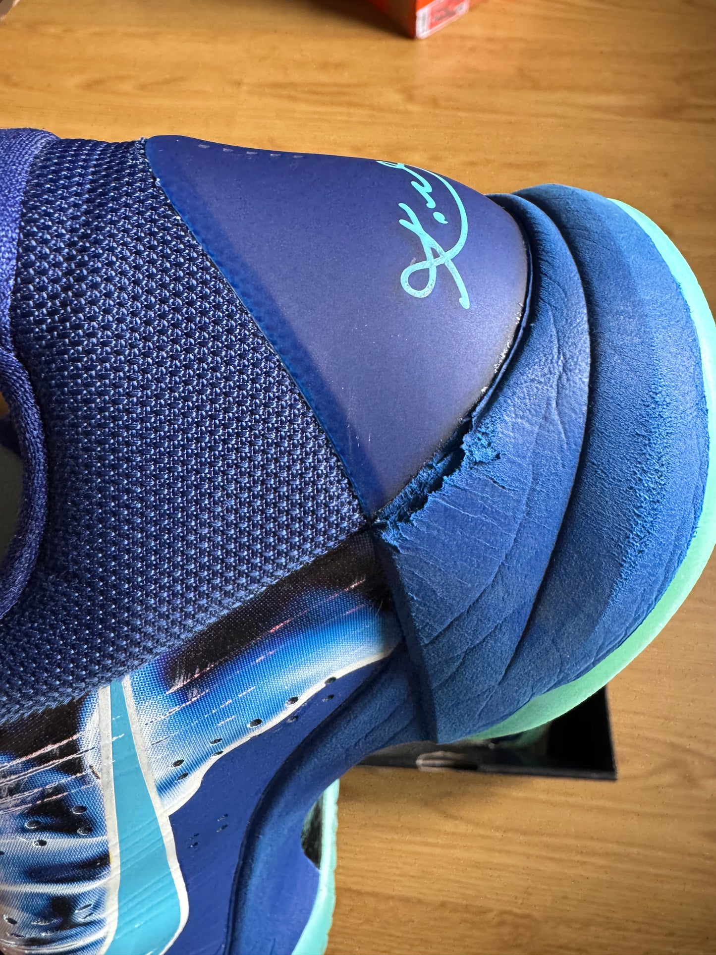 Nike Kobe 5 Protro X ray